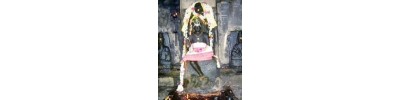 234. திருப்புறவார் பனங்காட்டூர்